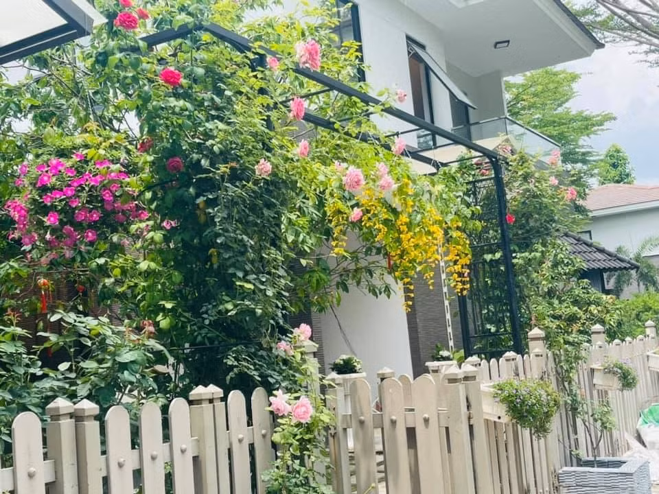 Các loại hoa đua nhau khoe sắc từ cổng vào trong. Ảnh: FBNV