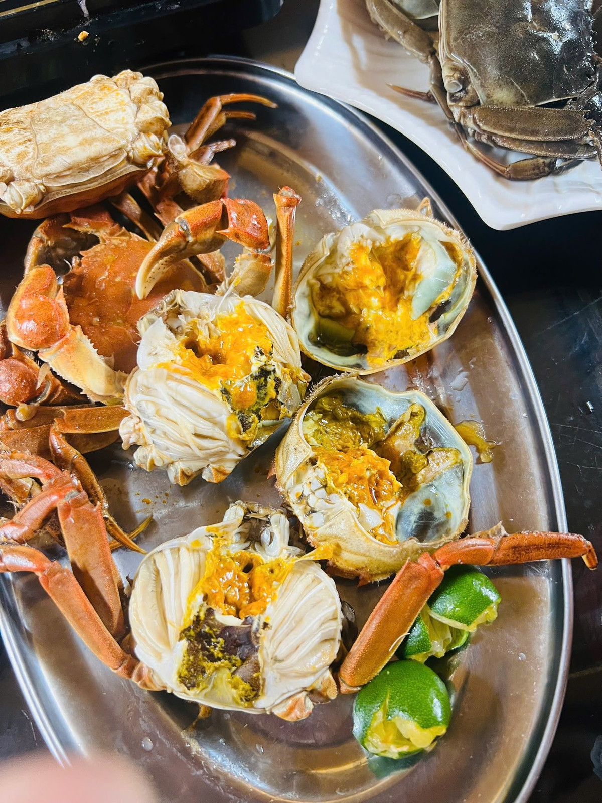 View - Loại cua quý hiếm ngon hơn ghẹ, 600.000 đồng/kg vẫn khó mua | Báo Tri thức và Cuộc sống - TIN TỨC PHỔ BIẾN KIẾN THỨC 24H