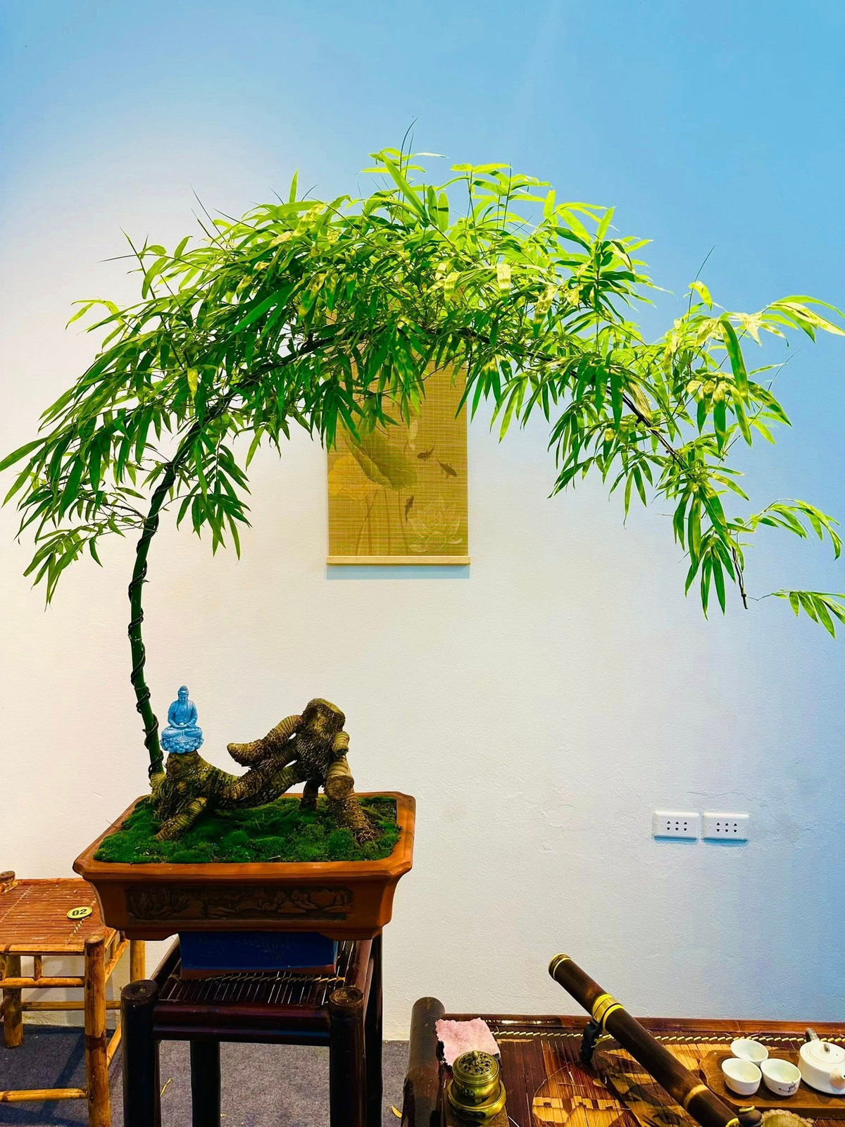 Giá tre bonsai khá đa dạng, từ vài trăm nghìn đồng cho cây mini để bàn đến hàng chục triệu đồng cho các tác phẩm có dáng độc đáo. Ảnh: Facebook