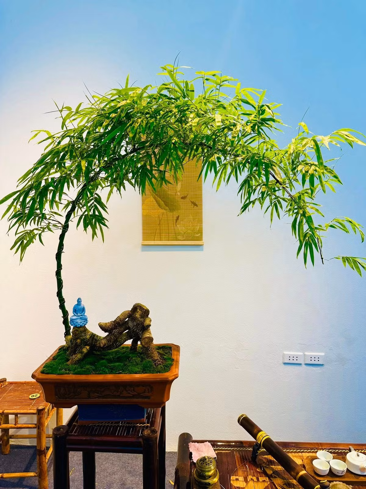 Giá tre bonsai khá đa dạng, từ vài trăm nghìn đồng cho cây mini để bàn đến hàng chục triệu đồng cho các tác phẩm có dáng độc đáo. Ảnh: Facebook