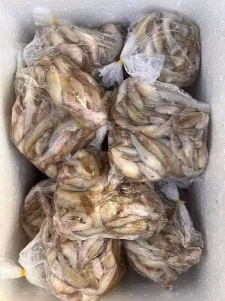 Cá bống được làm sạch sẽ, cấp đông, người mua chỉ cần rửa qua là có thể sử dụng được. Ảnh: Facebook