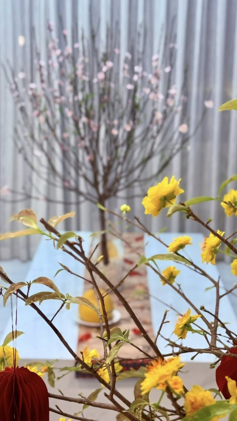 Giữa đô thị ồn ào, ngôi nhà nhỏ trở thành nơi nghỉ ngơi lý tưởng của Thân Thúy Hà. Ảnh: FBNV