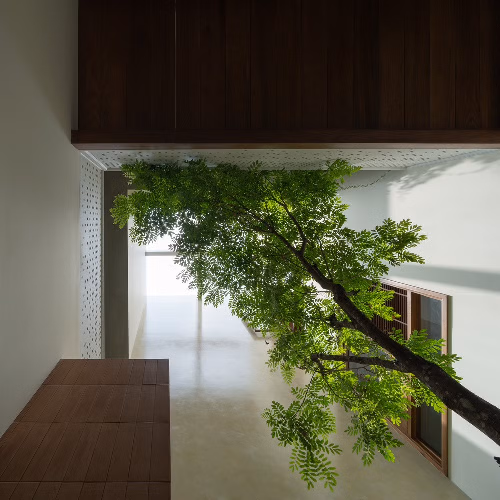 Hệ cây xanh bao phủ công trình giúp làm mềm khối kiến trúc và duy trì mối liên hệ sâu sắc giữa con người và thiên nhiên. Ảnh: Quang Đạm