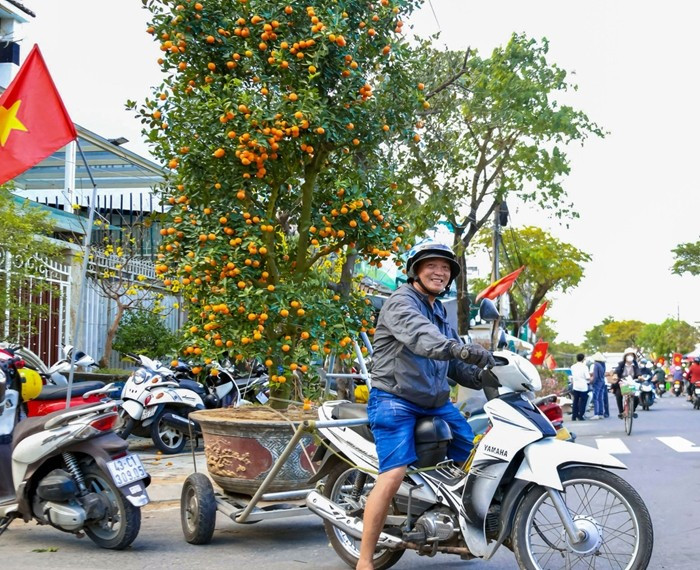 Tùy theo quãng đường và kích thước của cây, mức giá sẽ khác nhau. Ảnh: Tiền phong