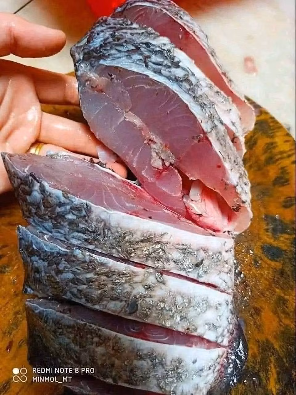 Cá chẽm được ưa chuộng bởi thịt ngon, không tanh, dễ chế biến và gần như không có xương dăm. Ảnh: Facebook