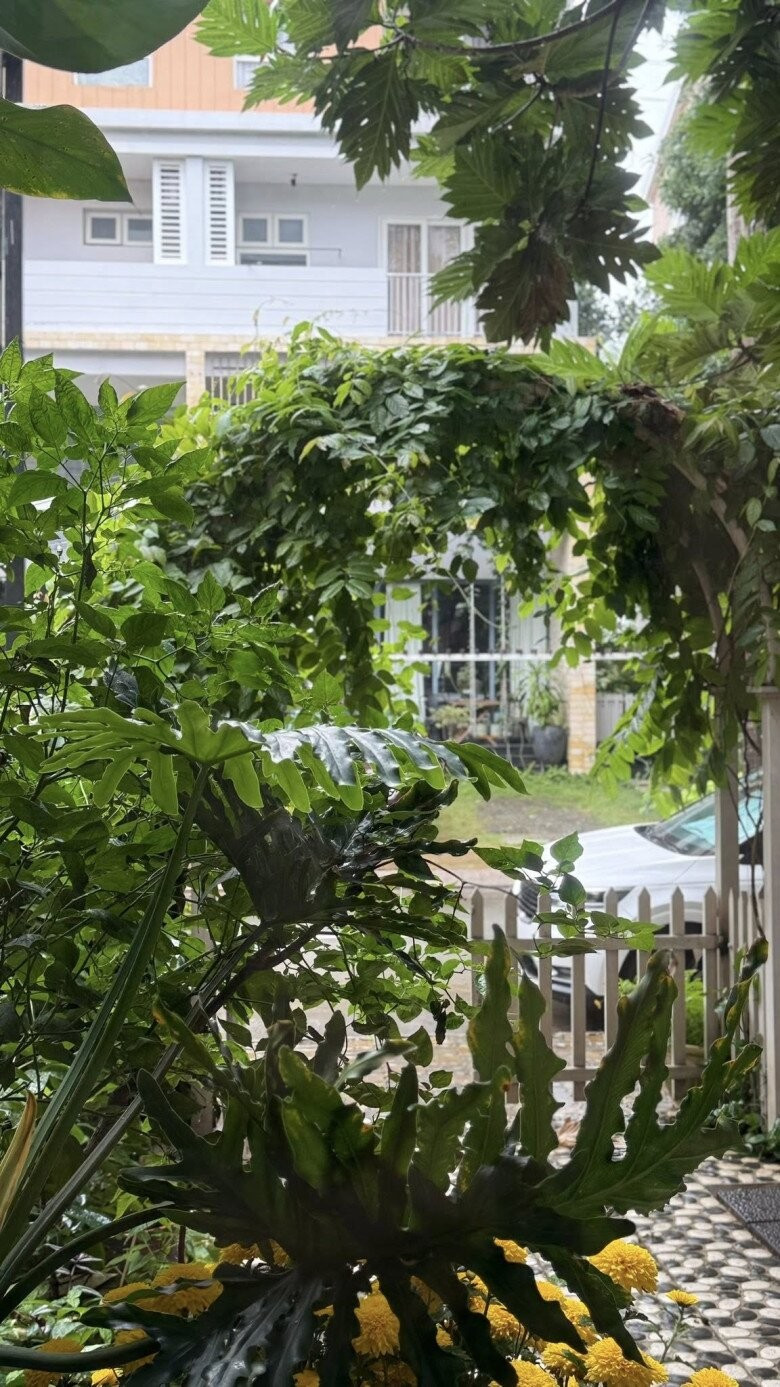 Từ cổng vào, nhiều tầng lớp cây xanh đan xen, tạo bóng mát. Ảnh: FBNV