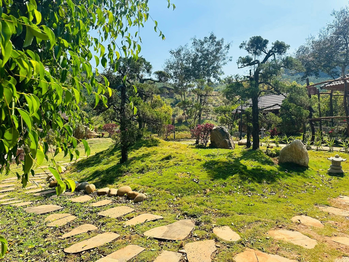 Các lối đi lát đá uốn lượn giữa thảm cỏ. Ảnh: FB Hoàng Minh Bùi