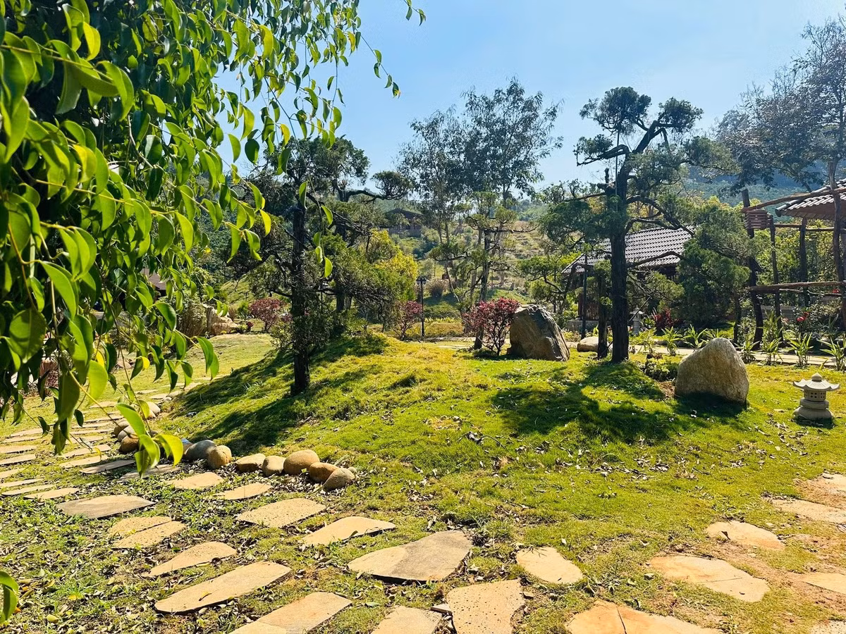 Các lối đi lát đá uốn lượn giữa thảm cỏ. Ảnh: FB Hoàng Minh Bùi