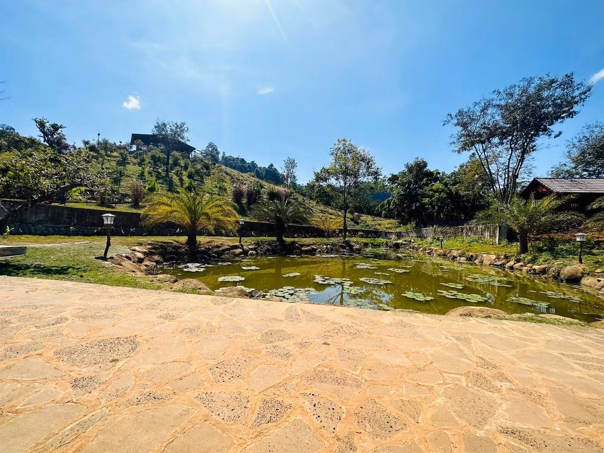 Khuôn viên bên ngoài biệt phủ là khoảng xanh rộng lớn. Ảnh: FB Hoàng Minh Bùi