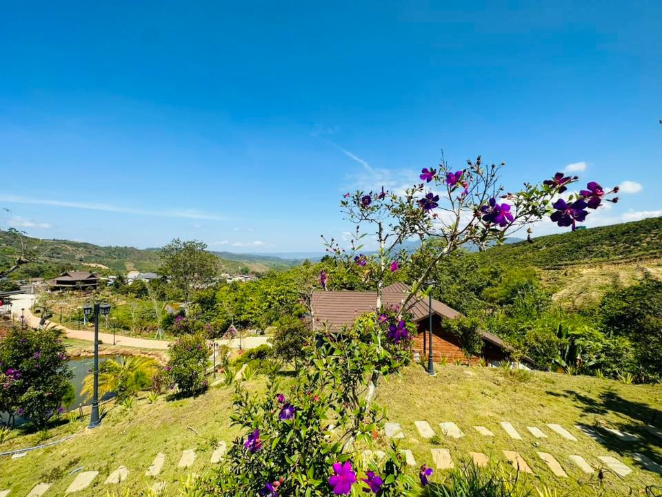 Với diện tích đất rộng, nam nghệ sĩ trồng nhiều hoa và cây cảnh cho không gian thơ mộng. Ảnh: FB Hoàng Minh Bùi