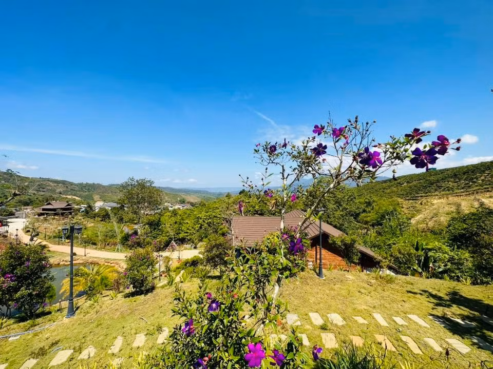 Với diện tích đất rộng, nam nghệ sĩ trồng nhiều hoa và cây cảnh cho không gian thơ mộng. Ảnh: FB Hoàng Minh Bùi