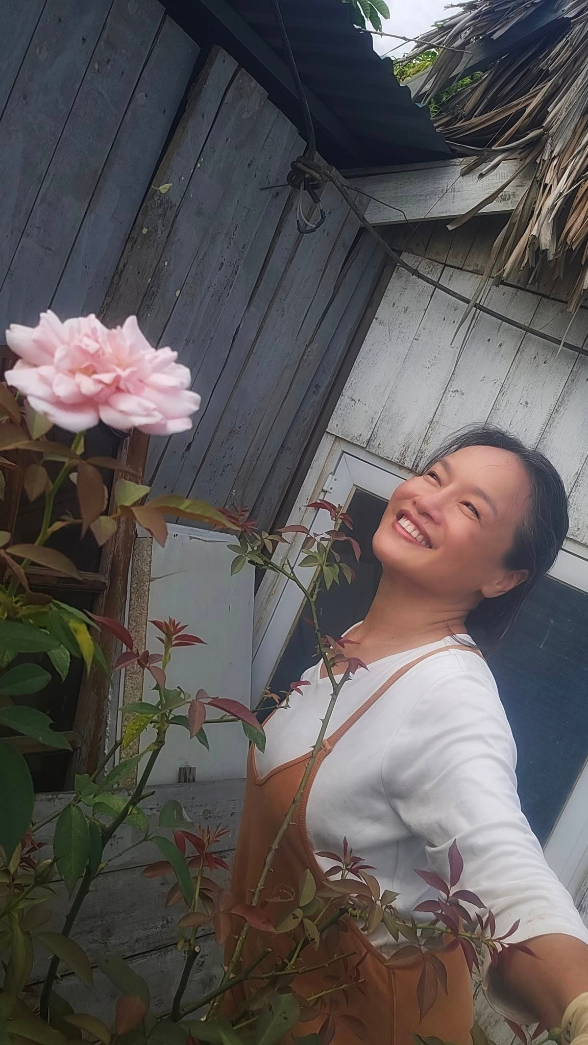 Giữa vườn, diễn viên Tú Oanh dựng một nhà gỗ để che mưa che nắng và làm nơi trú chân cho chó, mèo. Ảnh: FB Oanh Le Tu