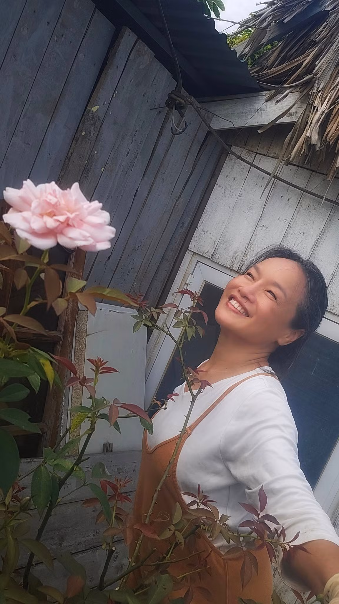 Giữa vườn, diễn viên Tú Oanh dựng một nhà gỗ để che mưa che nắng và làm nơi trú chân cho chó, mèo. Ảnh: FB Oanh Le Tu