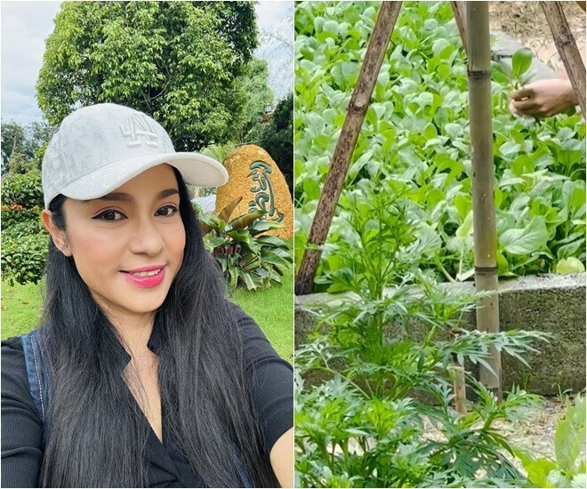 Từ khi rời xa ánh đèn sân khấu, Việt Trinh sống cùng con trai trong căn nhà vườn 3.000m2 tại TP HCM (trước kia là Bình Dương). Ảnh: FB Trần Việt Trinh