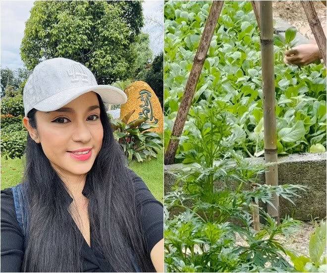 Từ khi rời xa ánh đèn sân khấu, Việt Trinh sống cùng con trai trong căn nhà vườn 3.000m2 tại TP HCM (trước kia là Bình Dương). Ảnh: FB Trần Việt Trinh