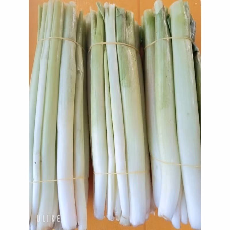 Tại các chợ miền Tây hay chợ mạng, rau mác có giá dao động từ 80.000 - 90.000 đồng/kg. Ảnh: Shopee