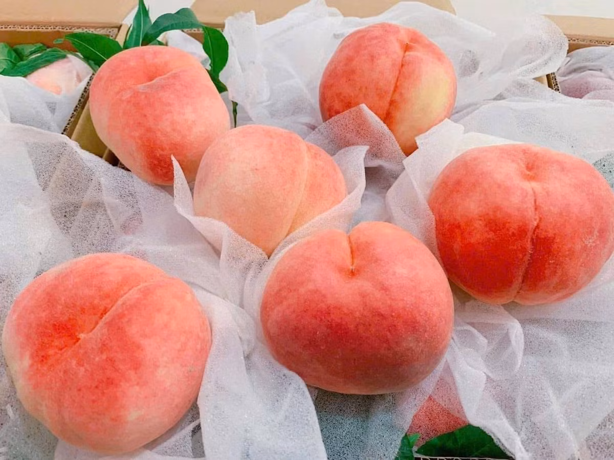 Bên cạnh đào mỏ quạ, đào trơn, đào tiên Bắc Kinh (Trung Quốc) cũng đang "làm mưa làm gió" thị trường Việt. Ảnh: Facebook