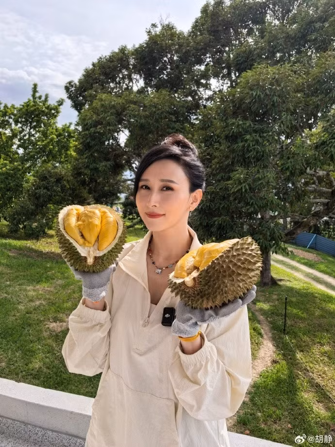 Nữ diễn viên từng khiến cộng đồng mạng phát mê với cảnh sáng đi hái mít và thanh long, chiều lại trèo cây thu hoạch sầu riêng Musang King ngay trong chính ngôi nhà. Ảnh: QQ