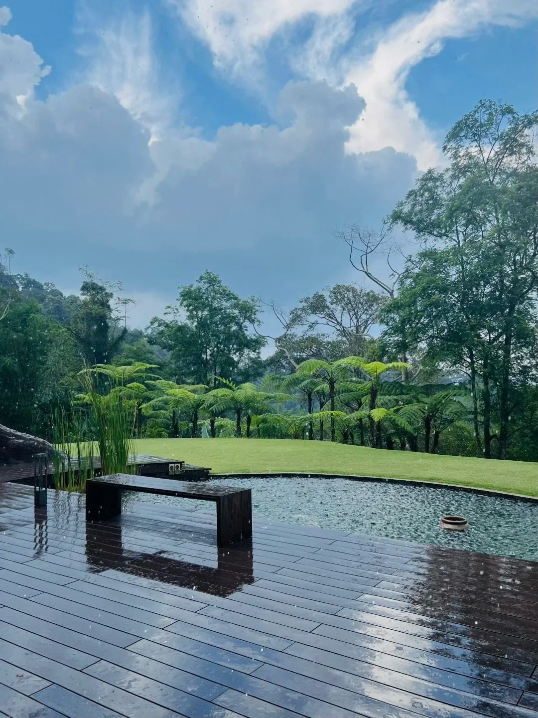 Nhiều người thậm chí còn tưởng đây là một khu nghỉ dưỡng ở đảo hoặc một resort trong rừng. Ảnh: QQ