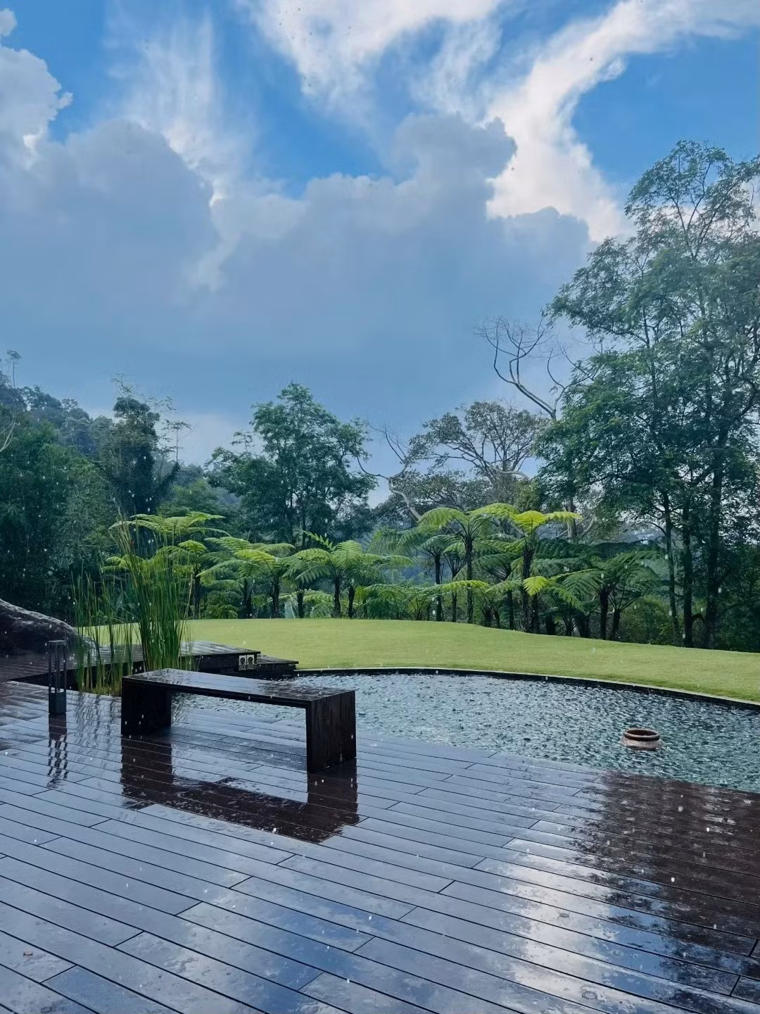 Nhiều người thậm chí còn tưởng đây là một khu nghỉ dưỡng ở đảo hoặc một resort trong rừng. Ảnh: QQ