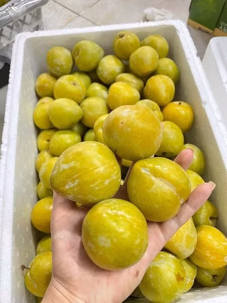 Mận cau VIP loại 9-10 quả/kg giá chỉ 350.000 đồng/thùng trọng lượng 6kg, tính ra tương đương khoảng 60.000 đồng/kg. Ảnh: Facebook