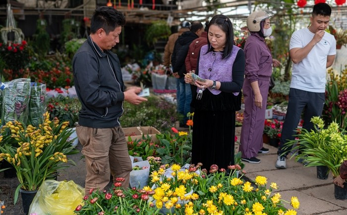 Nhiều khách hàng có thói quen mua hoa sớm để chọn được những chậu cây đẹp, dáng thế ưng ý. Ảnh: Vietnamnet