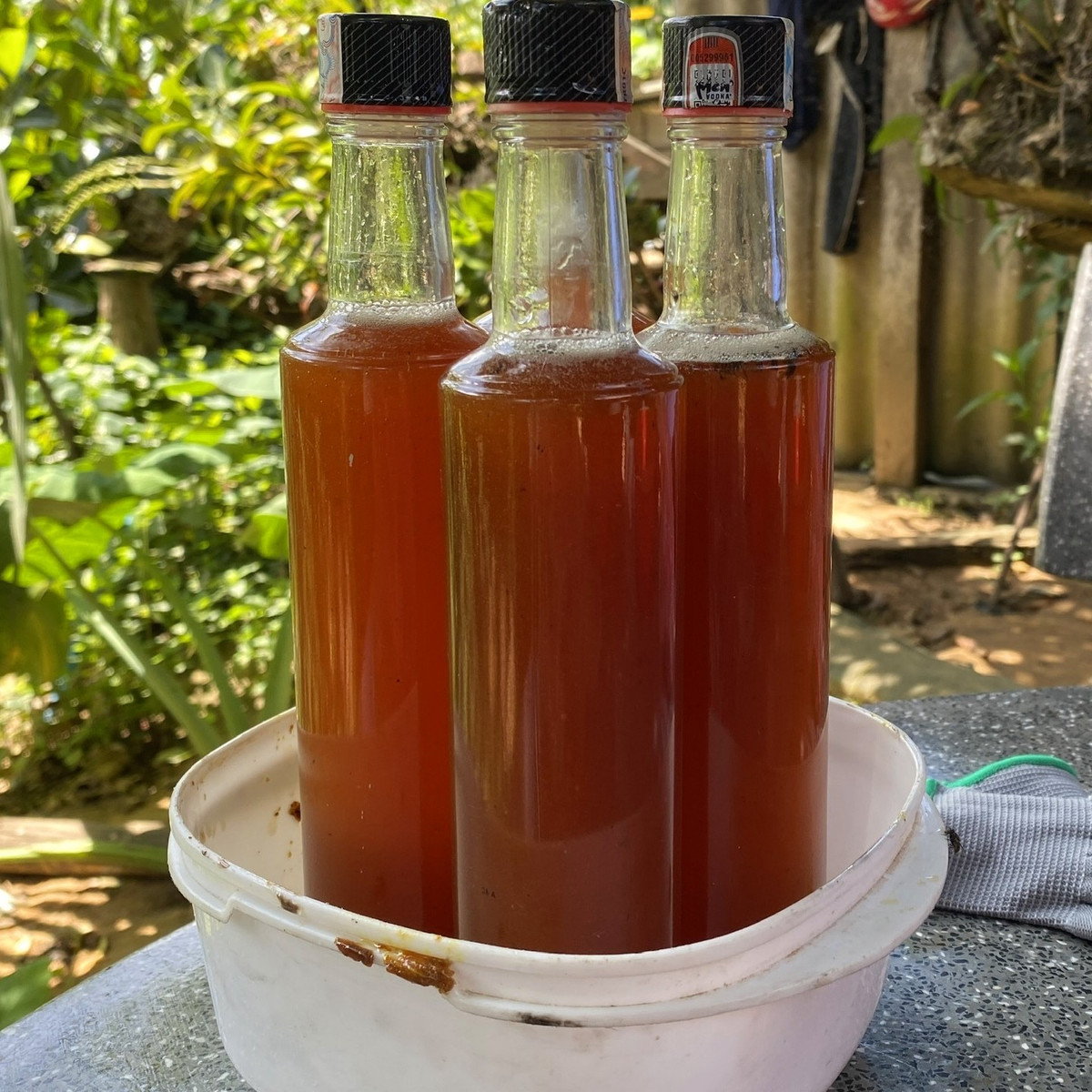 Ong dú hút mật từ nhiều loại hoa nhưng nghiêng hẳn về hoa cỏ dại. Vì vậy, mật ong dú có hương vị rất riêng. Ảnh: Internet