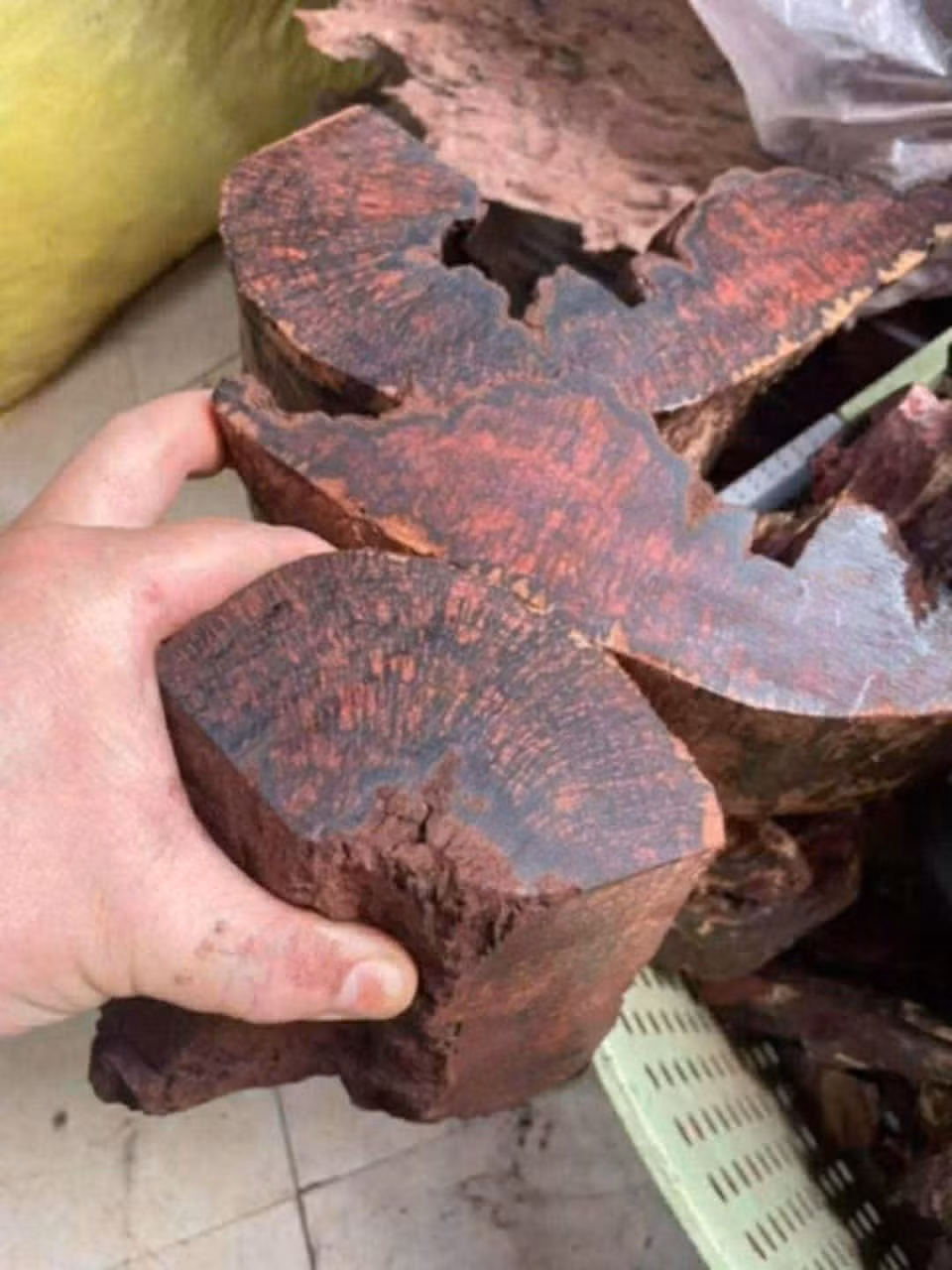 Tuỳ theo màu sắc, gỗ mán đĩa có giá dao động từ 1 triệu đến 3 triệu đồng/kg. Ảnh: Vietnamnet