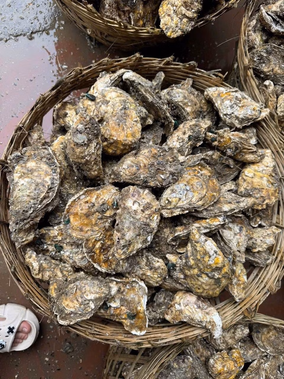 Một số cửa hàng thừa nhận hàu vàng nguồn gốc từ Trung Quốc, nhưng không ít nơi vẫn gắn nhãn Quảng Ninh để dễ tiêu thụ. Ảnh: Facebook