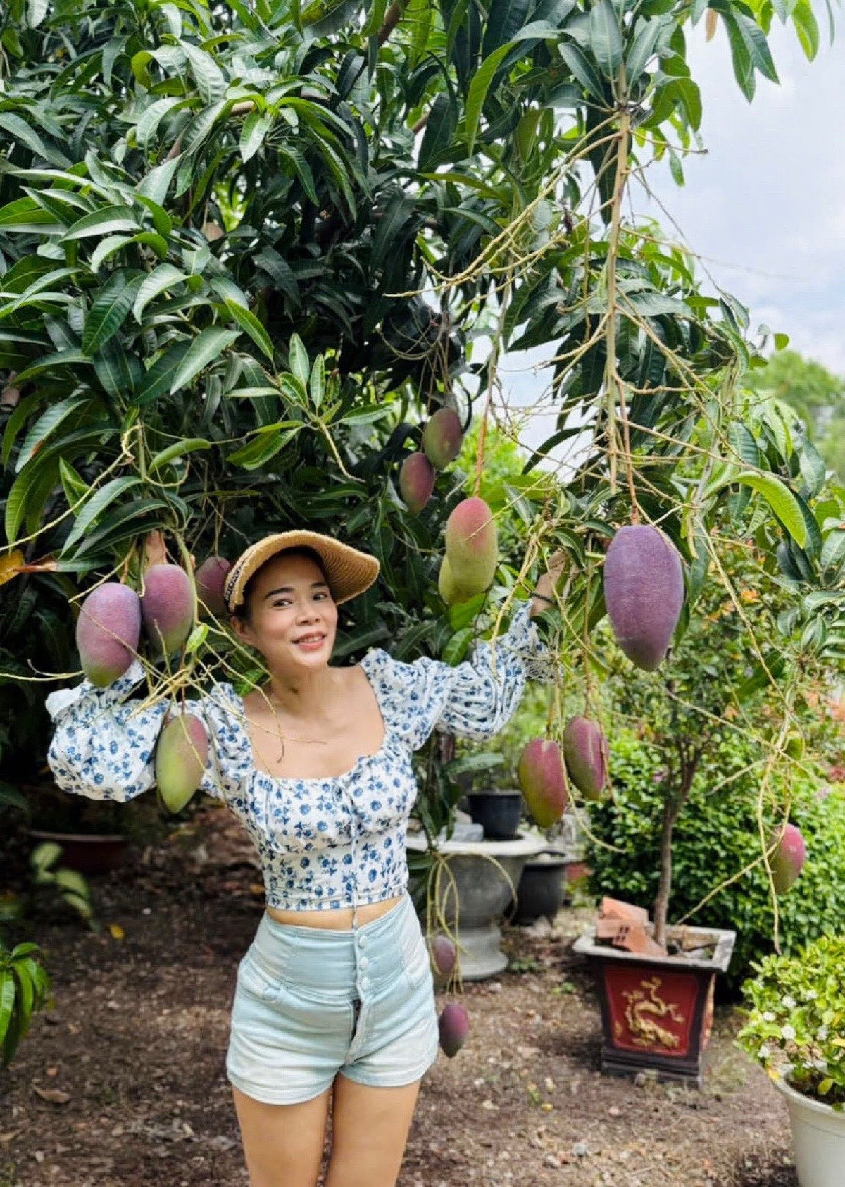 Mới đây, Mỹ Lệ khoe cây xoài chi chít quả trong vườn. Ảnh: FB Hoàng Thị Mỹ Lệ