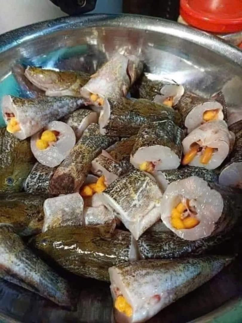 Dù hình dáng hơi tối màu do thói quen sinh sống trong bùn, nhưng cá bống tượng được đánh giá cao về chất lượng thịt. Ảnh: Facebook