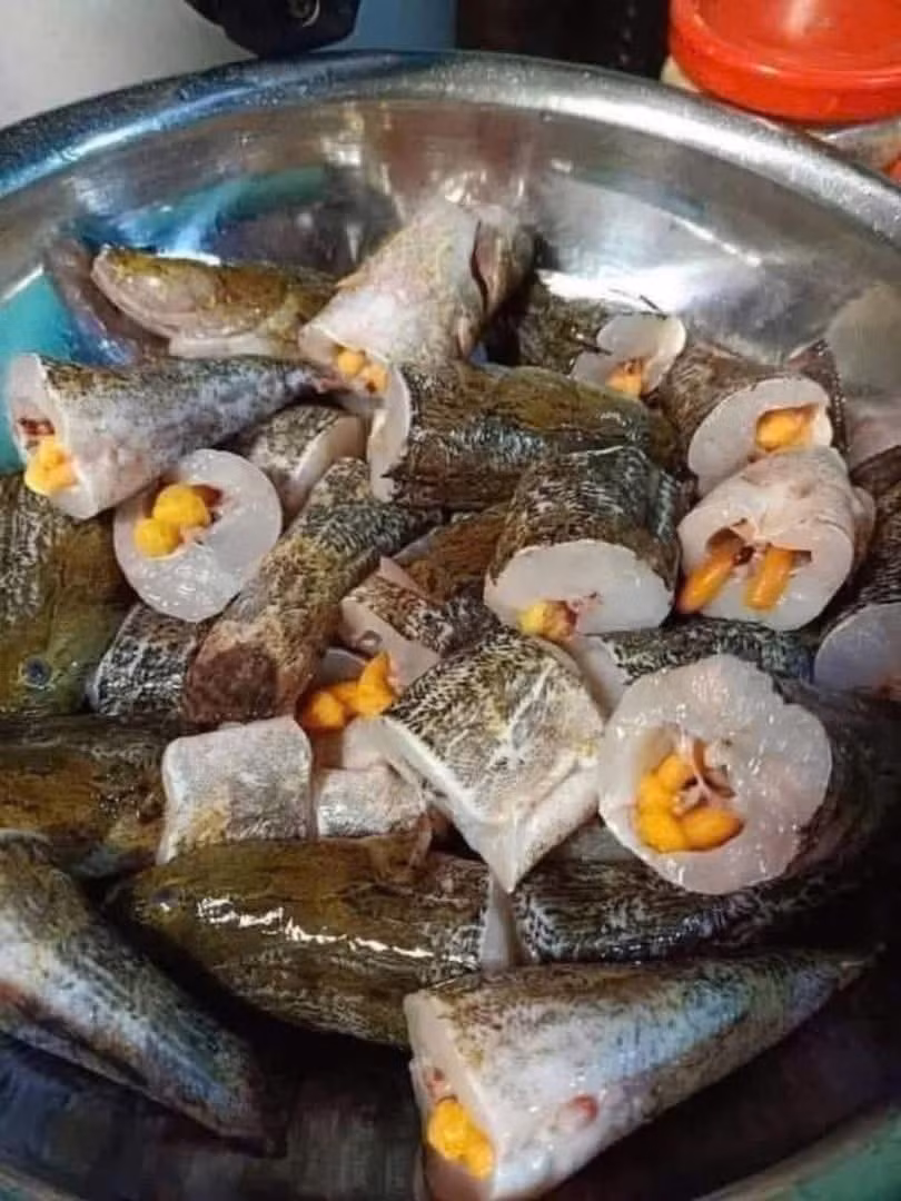 Dù hình dáng hơi tối màu do thói quen sinh sống trong bùn, nhưng cá bống tượng được đánh giá cao về chất lượng thịt. Ảnh: Facebook