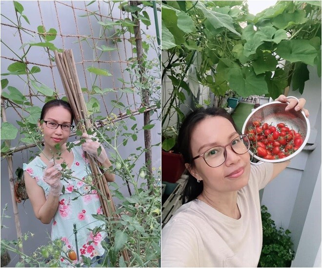 Thành quả là khu vườn đa dạng với khoảng 20 loại trái cây khác nhau. Ảnh: FB Cẩm Ly