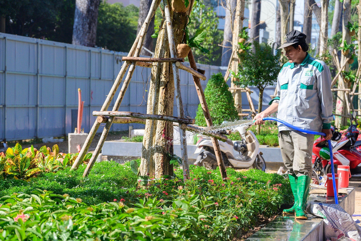 Hệ thống cây xanh tại công viên số 1 Lý Thái Tổ cũng đang được hoàn thiện những khâu cuối. Các loại cây bóng mát đã được trồng dọc trục chính, kết hợp thảm cỏ và cây bụi thấp nhằm tạo không gian thoáng đãng.