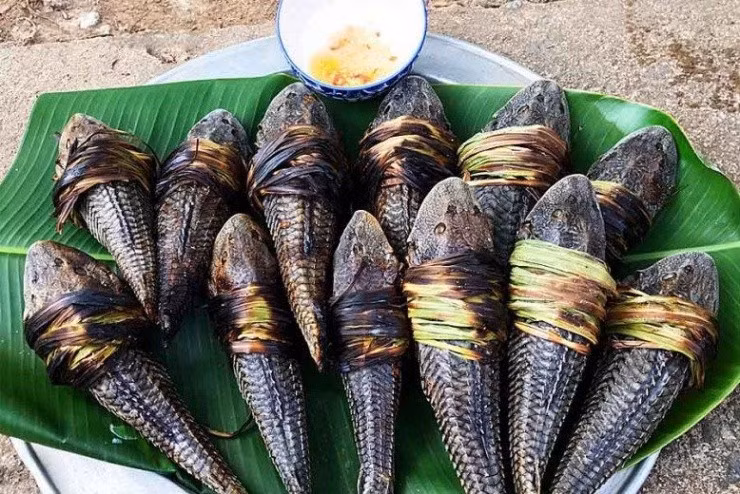 Cá lau kiếng có thể chế biến thành nhiều món ăn ngon như: Lẩu cá măng chua, cá nướng, cá hấp sả, khô cá...Ảnh: Facebook