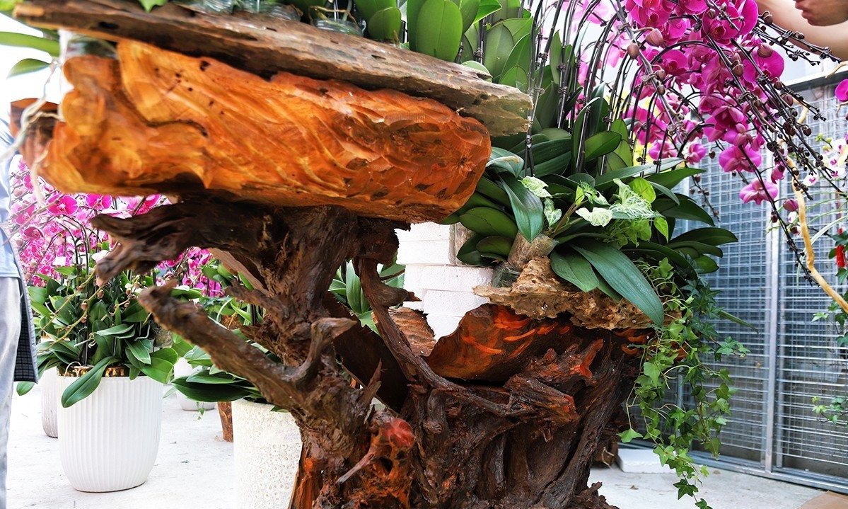 Dưới bàn tay khéo léo của người thợ, các thân gỗ tưởng chừng vô tri đã được “thổi hồn” bằng sắc xanh của lá và những giò hoa lan rực rỡ. Ảnh: Baohatinh