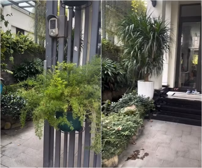 Mới đây, MC Vân Hugo chia sẻ đoạn video khoe phong cách trang trí Giáng sinh trong biệt thự 200m2 thu hút sự chú ý của mọi người. Năm nay, nữ MC chọn phong cách nhẹ nhàng và nghệ thuật. Ảnh: FBNV