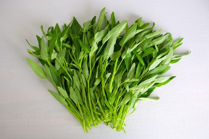 Do sinh trưởng nhanh, dễ trồng nên nhiều người lạm dụng phân đạm, thuốc kích thích tăng trưởng để rau mập, xanh, bán được nhanh. Ảnh: Internet