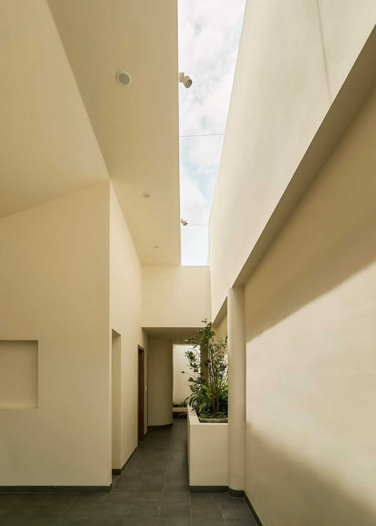 Trục giao thông chính được “khoét rỗng” bằng một khe sáng dài tương đương nửa chiều dài của căn nhà. Ảnh: Nam Võ