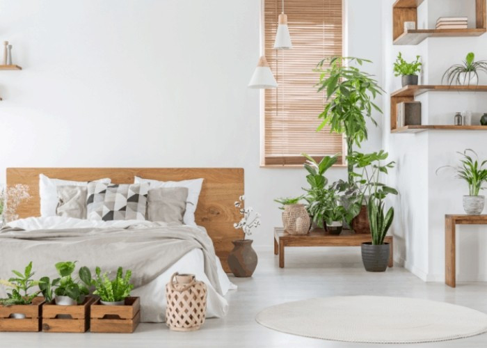 Nhiều người thích đặt cây xanh trong phòng ngủ để tạo cảm giác thư giãn. Tuy nhiên, ban đêm cây xanh sẽ hấp thụ oxy và thải ra CO2, đặc biệt là với những loại cây lá rậm. Ảnh: Internet