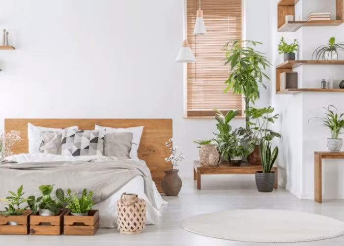 Nhiều người thích đặt cây xanh trong phòng ngủ để tạo cảm giác thư giãn. Tuy nhiên, ban đêm cây xanh sẽ hấp thụ oxy và thải ra CO2, đặc biệt là với những loại cây lá rậm. Ảnh: Internet