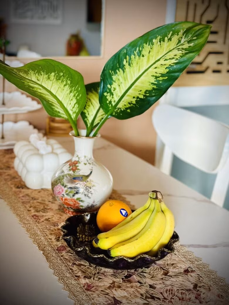 Cành lá từ khu vườn được Thu Phượng tận dụng để trang trí nhà cửa. Ảnh: FBNV