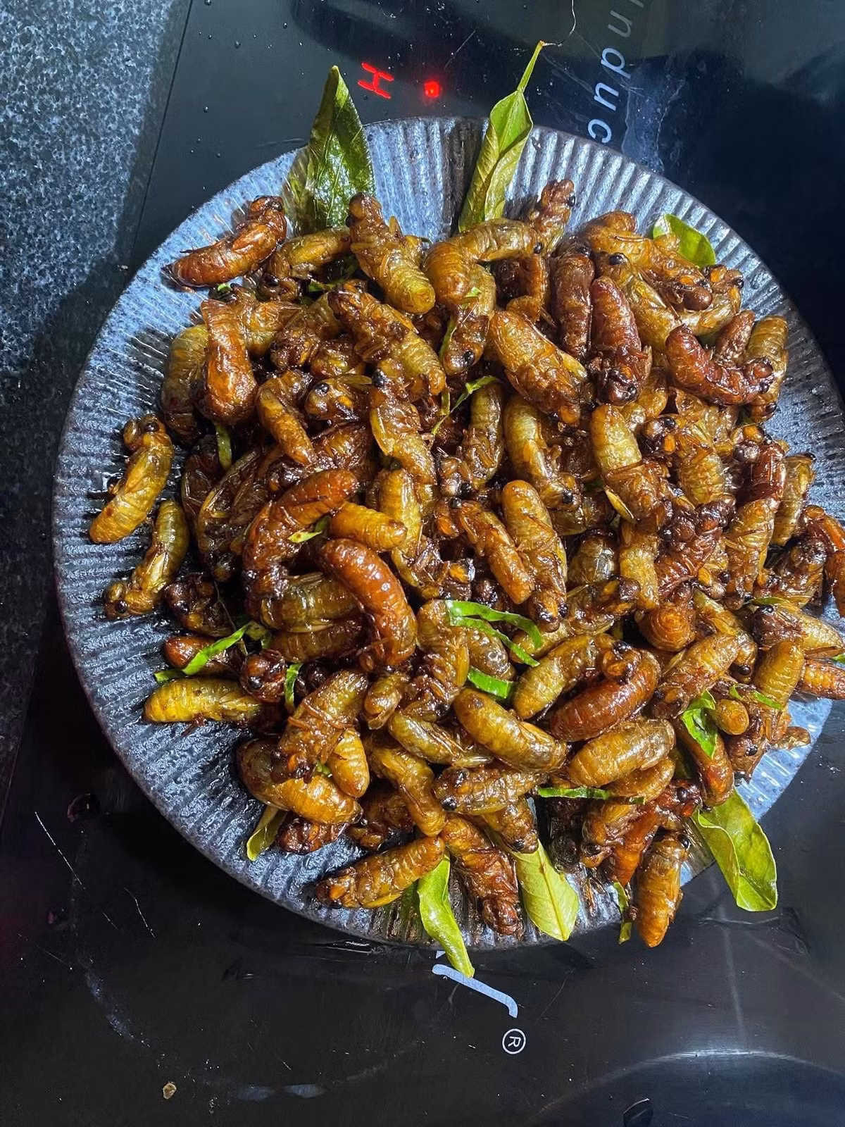 Trước đây, ve sầu non (hay còn gọi nhộng ve sầu) là món ăn dân dã ở nhiều vùng quê Việt Nam. Vài năm gần đây, món ăn này trở thành đặc sản đắt đỏ được nhiều người tìm mua. Ảnh: Facebook