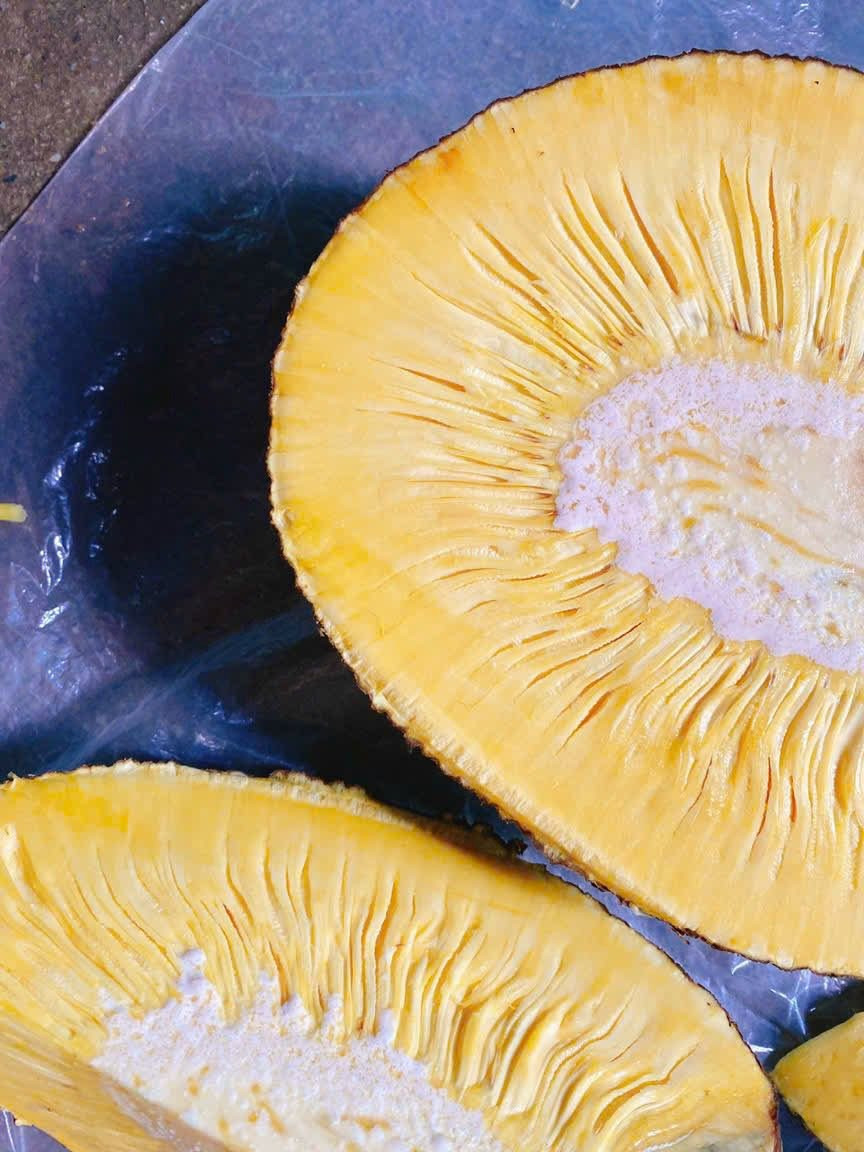 Tuy nhiên, khi bổ ra, trái mít hoàn toàn không có mủ, không hạt, múi và xơ có màu vàng, cơm dày, vị ngọt thanh, có thể ăn cả xơ mít... Ảnh: Facebook