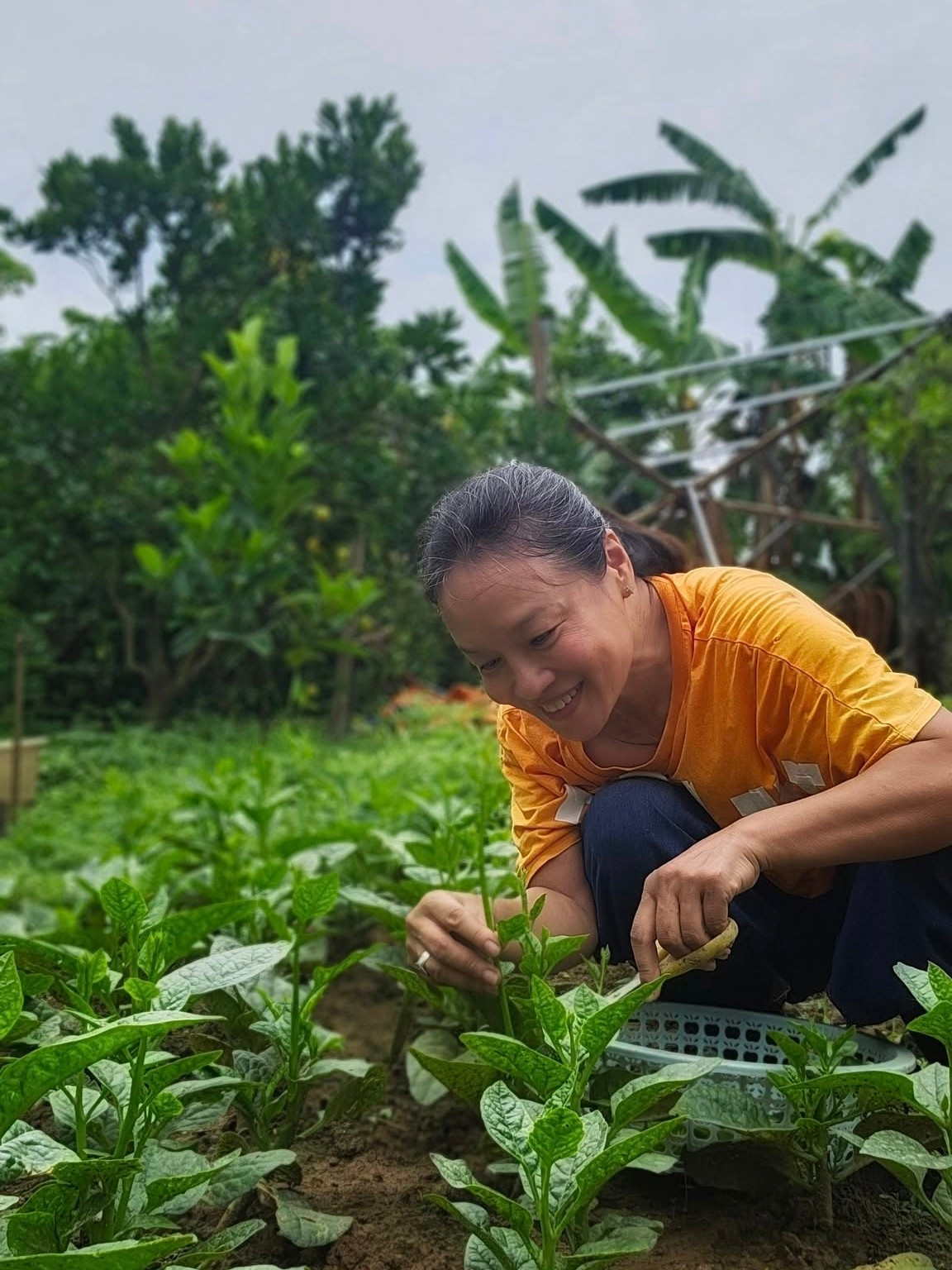 Tú Oanh đào giếng khoan, lắp hệ thống tưới tự động nên không khó khăn trong việc chăm sóc vườn rau. Ảnh: FB Oanh Le Tu