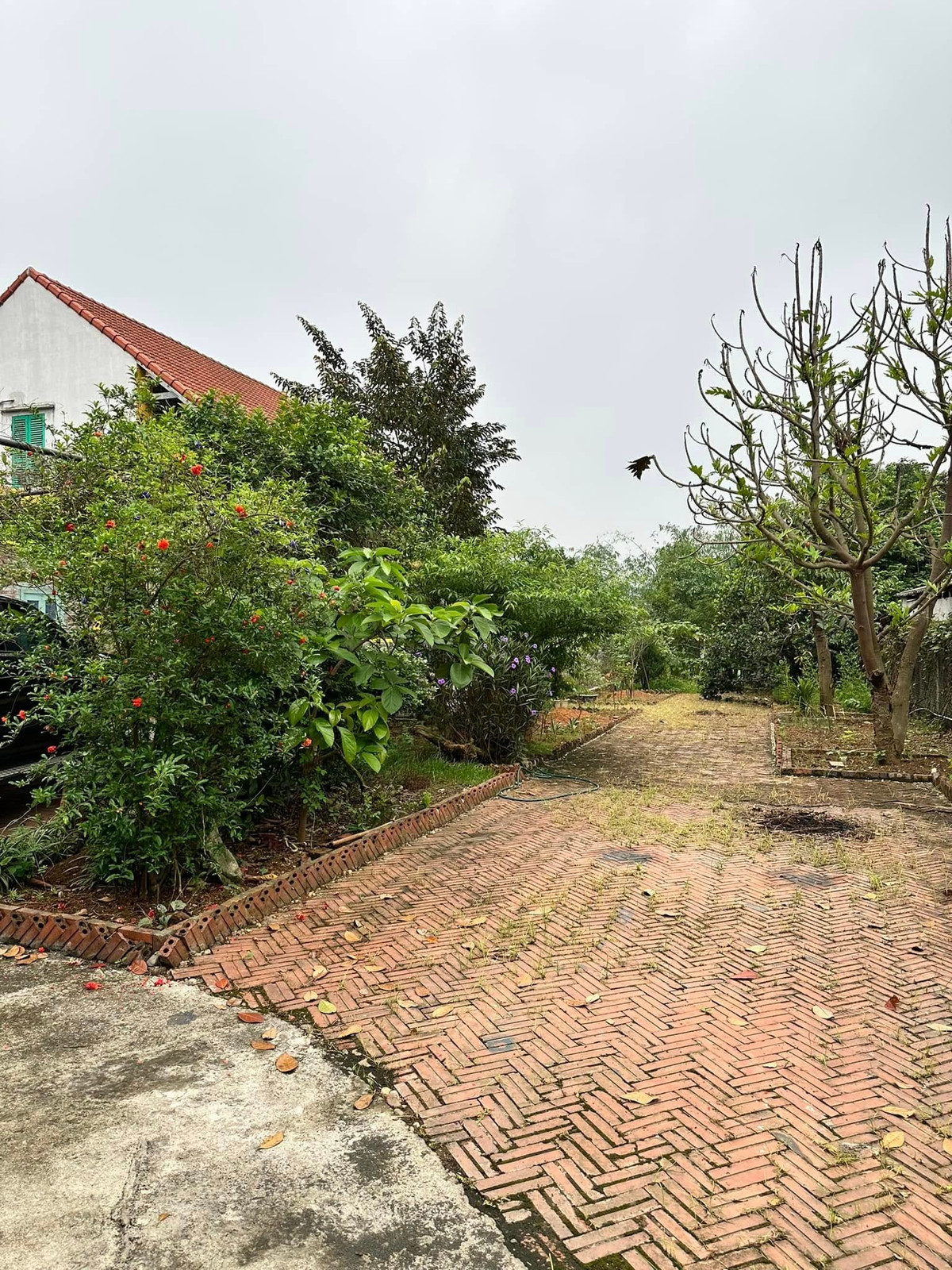 Cơ ngơi mang đậm kiến trúc nhà nông thôn với những mảng tường vàng, mái ngói đỏ, lu nước, mành tre,...Ảnh: FB Đinh Thị Thúy Hà