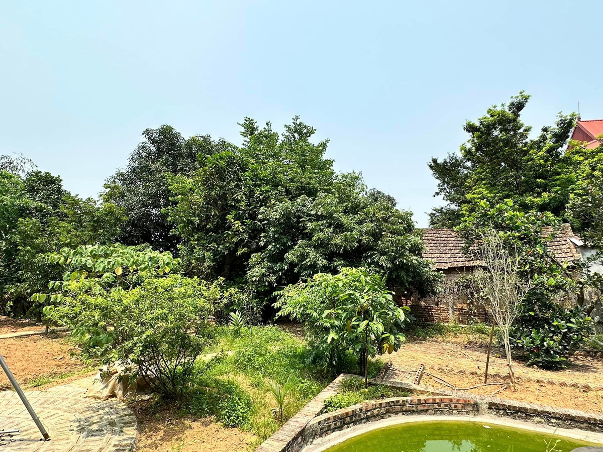 Ngoài ra, diễn viên Đinh Thúy Hà còn sở hữu một căn nhà tại Đường Lâm (Hà Nội), được cô bắt tay xây dựng trong giai đoạn dịch COVID-19. Ảnh: FB Đinh Thị Thúy Hà