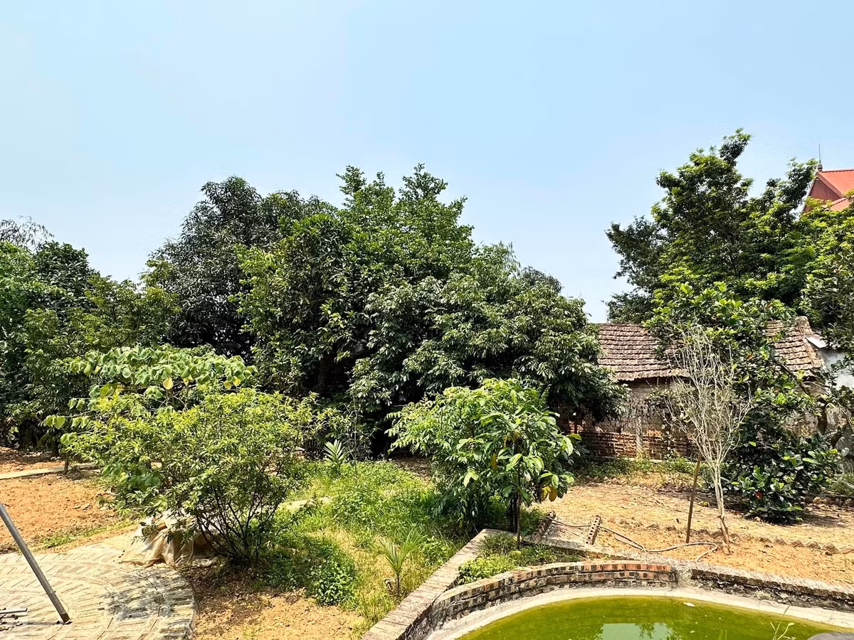 Ngoài ra, diễn viên Đinh Thúy Hà còn sở hữu một căn nhà tại Đường Lâm (Hà Nội), được cô bắt tay xây dựng trong giai đoạn dịch COVID-19. Ảnh: FB Đinh Thị Thúy Hà