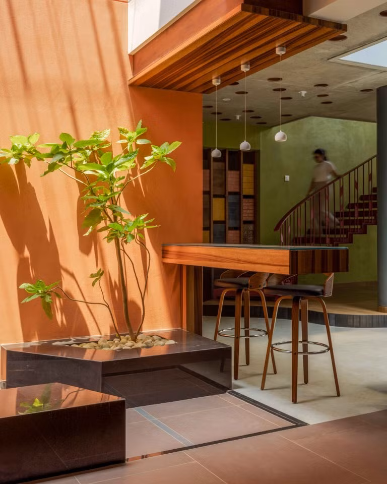 Đây là minh chứng cho thấy sự khéo léo của kiến ​​trúc có thể tạo nên một chốn an cư yên bình, lấy thiên nhiên làm trọng tâm giữa lòng đô thị. Ảnh: Thearchitectsdiary