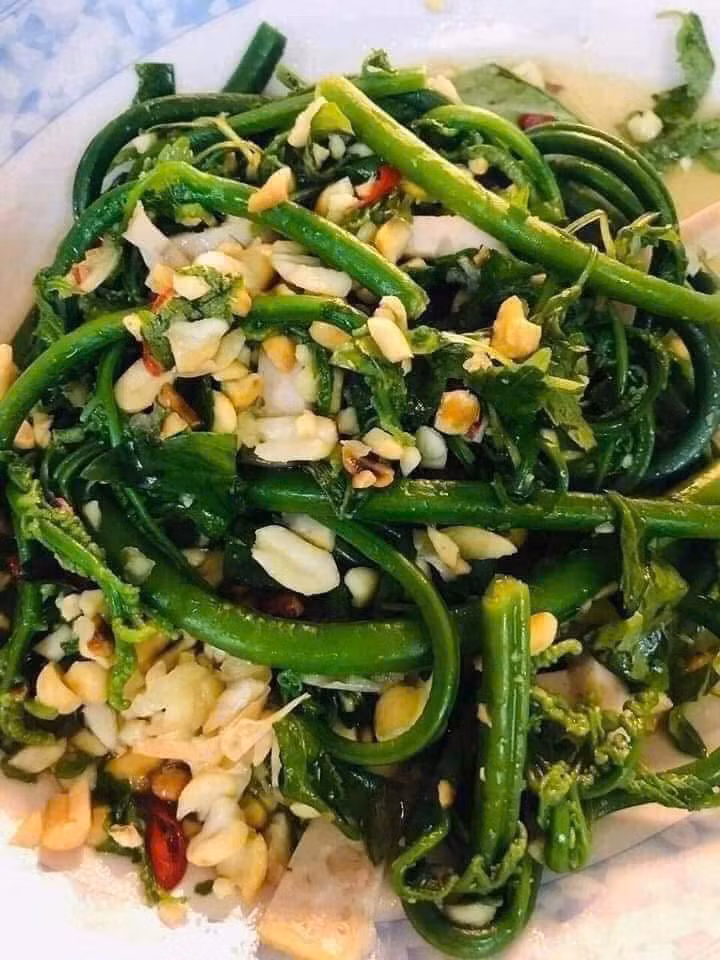 Hiện nay, rau dớn có mặt trong những nhà hàng sang trọng, phục vụ nhu cầu ẩm thực của du khách phương xa. Ảnh: Facebook